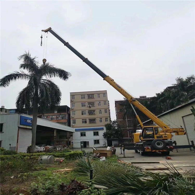 防城吊车吊大树几种方法